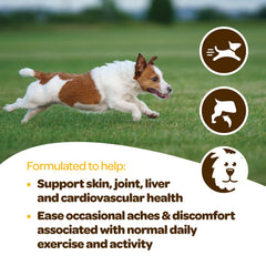 Ready Pet Go dog mobility image emphasizing hip support and active play for all breeds.