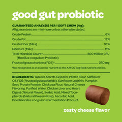 Ready Pet Go probiotic chews pumpkin ingredient image emphasizes natural prebiotic support for digestion.