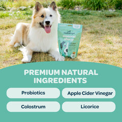 Ready Pet Go Immunity Boost dog chews close-up showing tasty texture for allergy comfort.