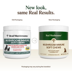 Real Mushrooms Immune Pet Chews serving—appealing bite-size treats for dogs and cats.