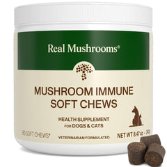 Real Mushrooms Immune Pet Chews jar close-up for daily immune support.