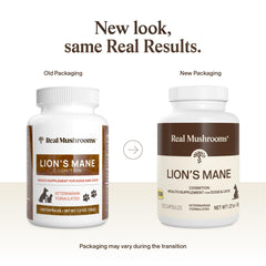 Real Mushrooms Lion’s Mane capsules close-up supporting daily engagement for pets.