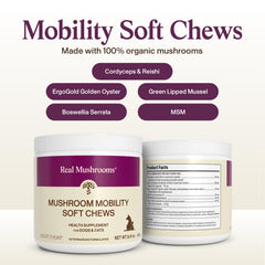 Real Mushrooms Mobility Chews cat serving shows feline-friendly dosing.