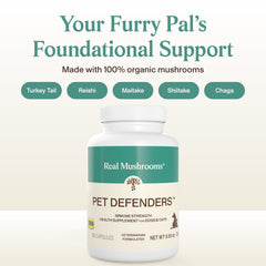 Real Mushrooms Pet Defenders daily scoop demonstrates simple portioning for consistent use.