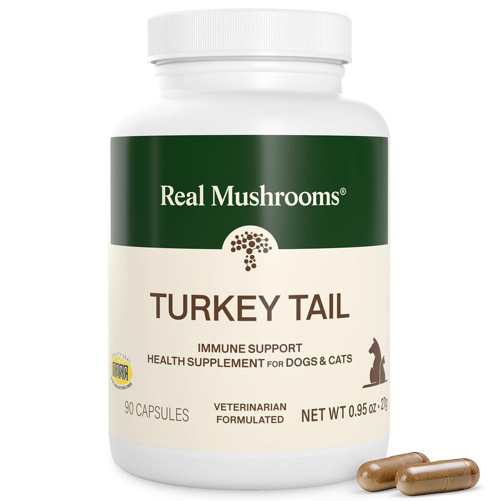 Real Mushrooms Turkey Tail bottle for pets with premium daily supplement