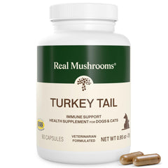 Real Mushrooms Turkey Tail bottle for pets with premium daily supplement