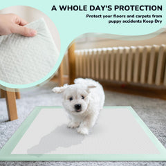 Red Rabbits 80pcs pads six-layer design provides leak-proof protection