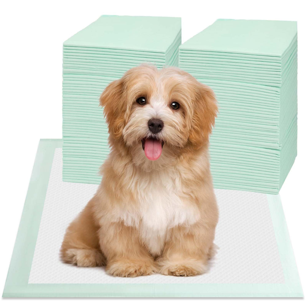 Red Rabbits Puppy Pad with absorbent core enhances liquid containment and odor control.