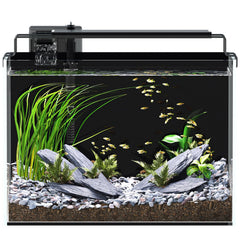 Red Tail Fish 5G betta tank showing a compact setup ideal for small spaces