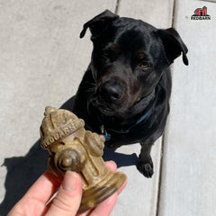 Redbarn Chew-A-Bulls textured ridges help clean teeth and massage gums during chew sessions.