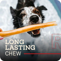 Redbarn Collagen Braid small pack 25 dog chew ready for gnaw sessions.