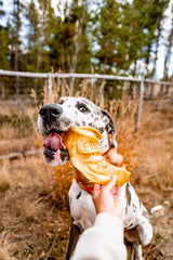 Redbarn cow ears digestible chews supporting dental care with regular chewing.
