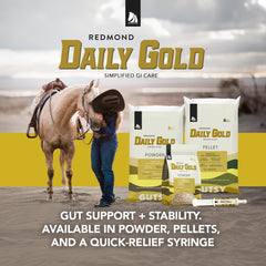 REDMOND Daily Gold digestive-support image emphasizes routine-friendly supplement.