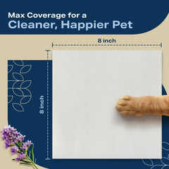 Refreshify travel wipes bonus pack for on-the-go pet care.