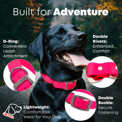 Regal Dog Products vinyl-coated waterproof collar stays dry and clean on outdoor adventures.