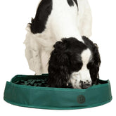 Reggie Snuffle Mat with foraging loops boosts scent work and engagement.