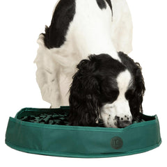 Reggie Snuffle Mat with foraging loops boosts scent work and engagement.