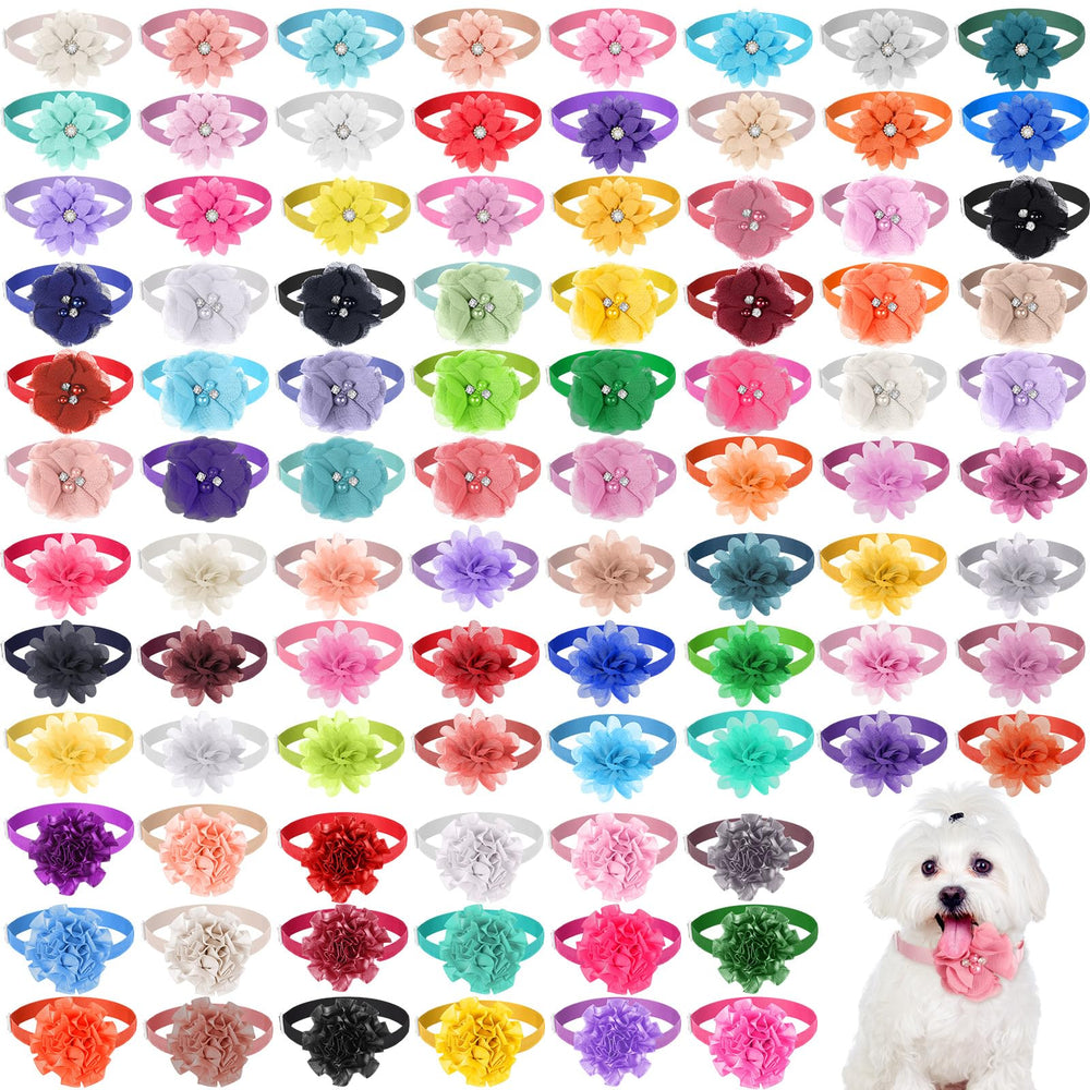 Reginary dog flower collar bouquet close-up, vibrant accessory for weddings and everyday charm