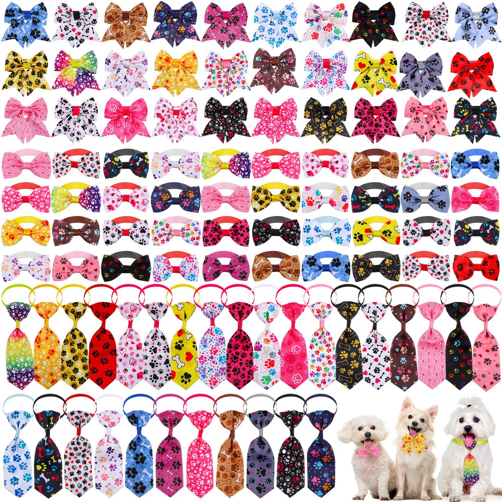 Reginary paw bone theme collars on a small dog for daily wear.