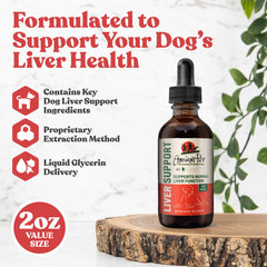 Rejuvica Health milk thistle dog dropper enables quick, easy dosing