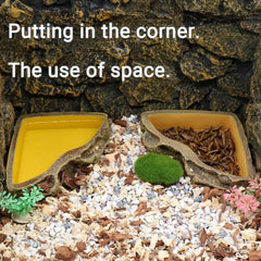 Relaqcc amphibian water dish made from safe resin for clean hydration.