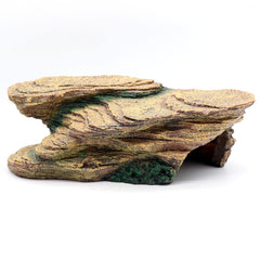 relaqcc turtle basking platform on shale scape offers a sunlit resting spot