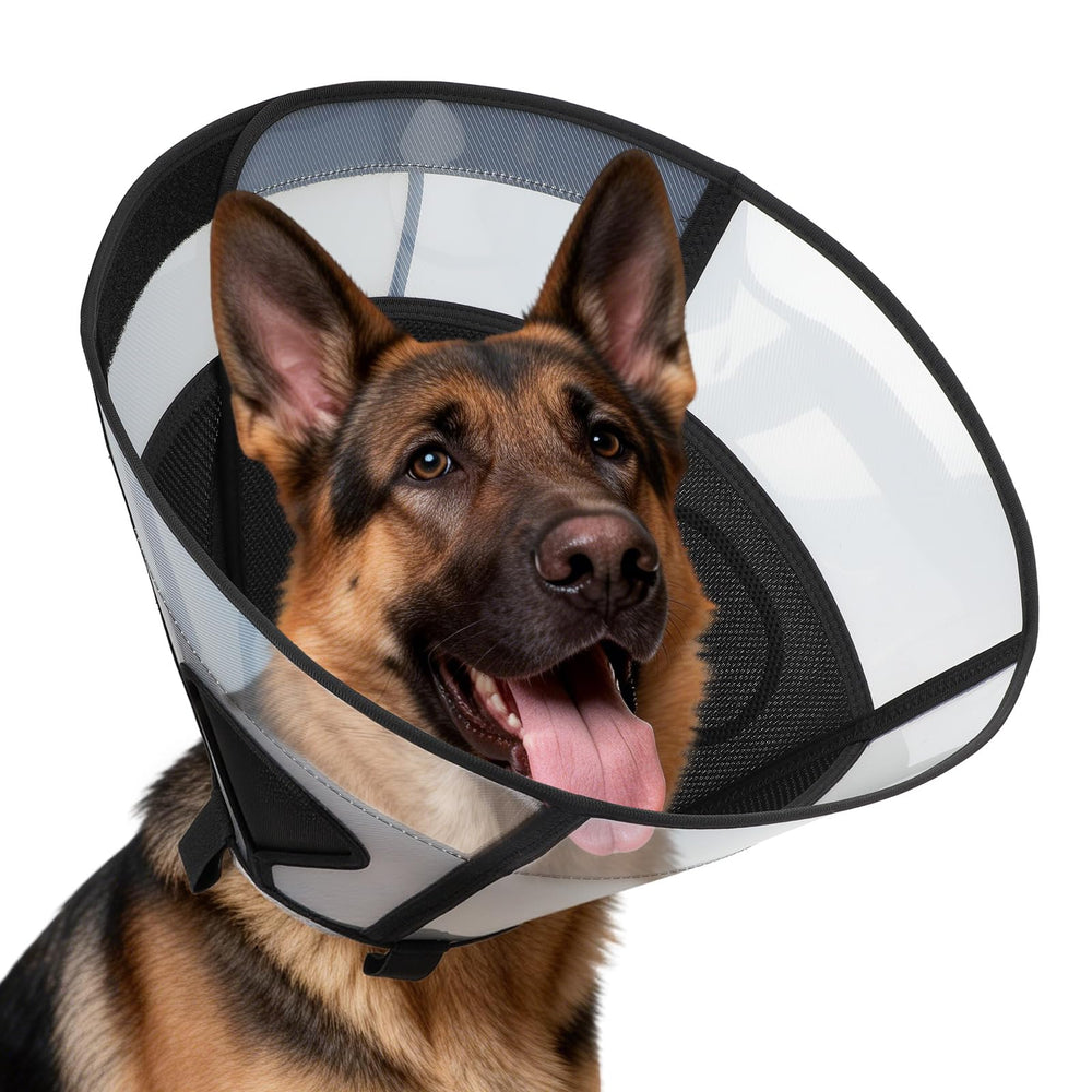 REOMORE soft dog cone collar for large dogs, side view, durable PVC for safer recovery.
