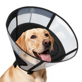 REOMORE soft dog cone collar for large dogs with mesh windows supports clear vision during recovery.