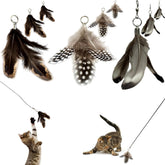 Repounce cat feather toy refill 9-pack with small feathers for kitten-friendly chase.