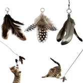 Repounce kitten-chase-feather-toy-refill sparks quick kitten play and hunting instincts.