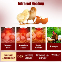 REPTI HOME infrared heat lamp in a reptile enclosure for basking warmth.
