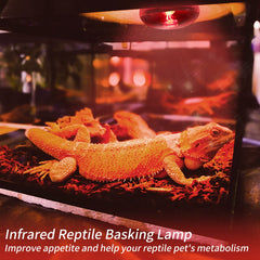 REPTI HOME reptile basking spot lighting for natural heat cues.