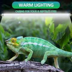 REPTI HOME long-tube UVB lamp ensuring wide coverage across terrarium.