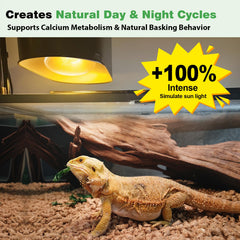 REPTI MATE simulated sunlight for relaxed reptiles