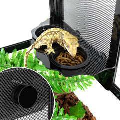 REPTI ZOO Acrylic aboreal feeder closeup highlighting safe material