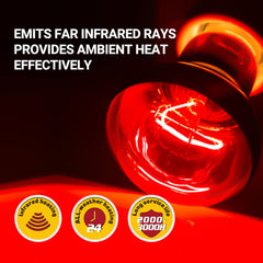 REPTI ZOO E26 base-compatible lamp installs easily on standard fixtures.