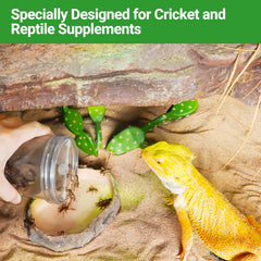 REPTI ZOO transparent feeding kit lets you watch the blending process.