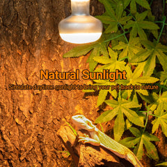 REPTI ZOO 75W UVA heat lamp provides safe warmth for reptiles