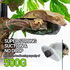 REPTI ZOO hollow vine food dish blending with terrarium decor
