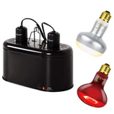 REPTI ZOO dual lamp fixture in terrarium provides day-night lighting.