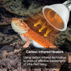 REPTI ZOO splashproof 100W bulb provides infrared warmth with durability