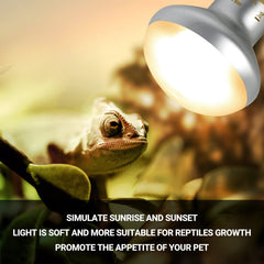 REPTI ZOO UVA daylight lamp supports daytime warmth and appetite.