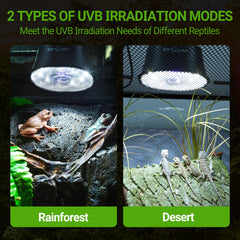 REPTI ZOO UVB light brightness control illustrating dimmable settings for day-night