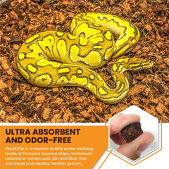 ReptiChip coconut substrate bedding highlighting odor-absorption in enclosure.