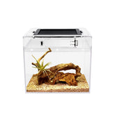 Reptile Growth mini terrarium full-view offers bright unobstructed observation of pets