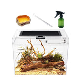 Reptile Growth Mini Terrarium full-view enclosure for easy pet observation
