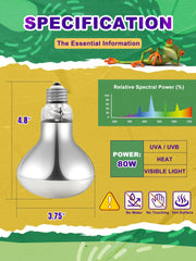 Reptispa diffused soft light minimizes stress and supports calm nighttime viewing.