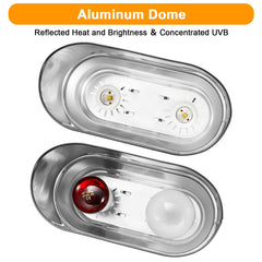 REPTITRIP fixture in bearded dragon setup highlighting even light coverage.