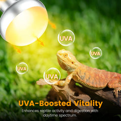 REPTITRIP reflective interior close-up shows efficient light distribution and UVB coverage
