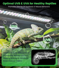REPTITRIP UVB light emitting full spectrum supports natural behaviors.